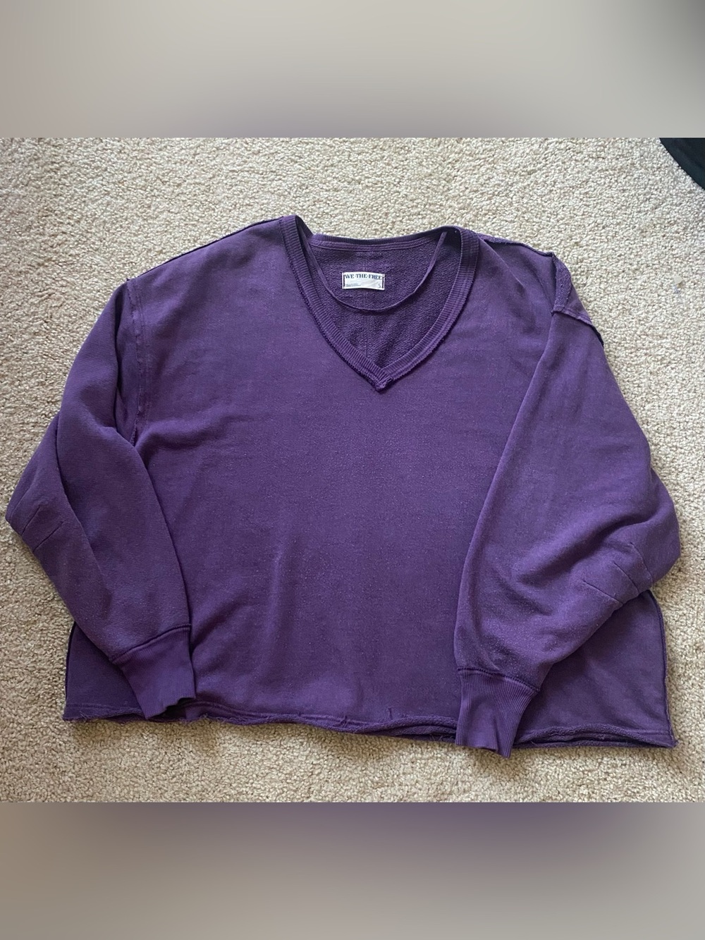 Free People We The Free Venice V-Neck Sweatshirt Sour Grapes Small - Picture 5 of 9